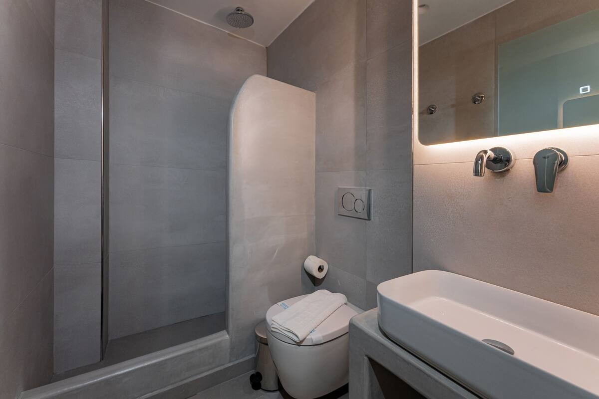 standard double or twin room, 1 bedroom | bathroom | shower, free toiletries, hair dryer, towels
