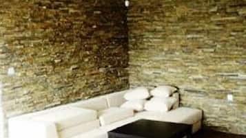 Flat-screen TV, fireplace, video game console, DVD player