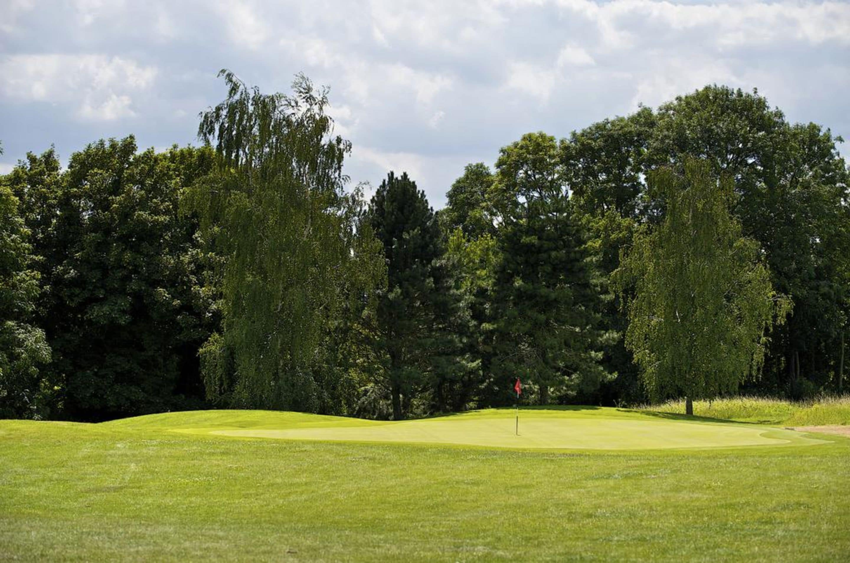Hyvin hoidettu golfkenttä, jossa on vihreä nurmialue, lipunvarsi ja tiheä puusto taustalla.