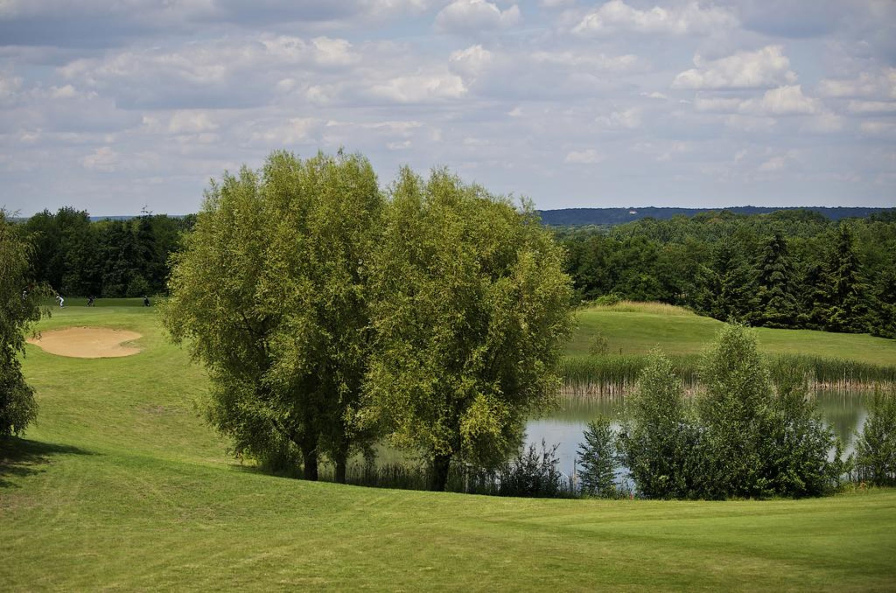 Un campo de golf con un estanque, árboles y una vista distante de un área boscosa.