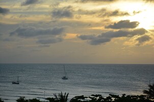 Vista costera con un velero en el agua, palmeras al frente y un cielo nublado.