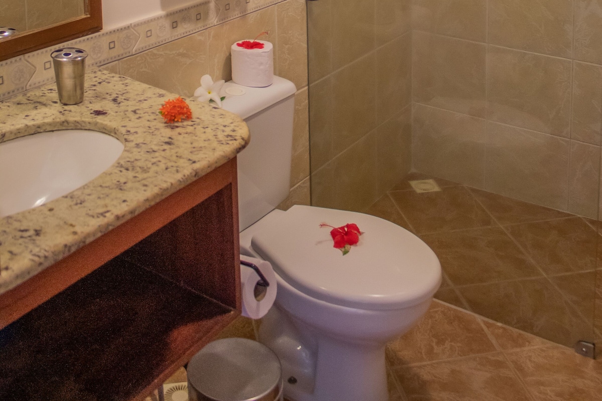 standard room | bathroom | free toiletries, hair dryer, bathrobes, towels