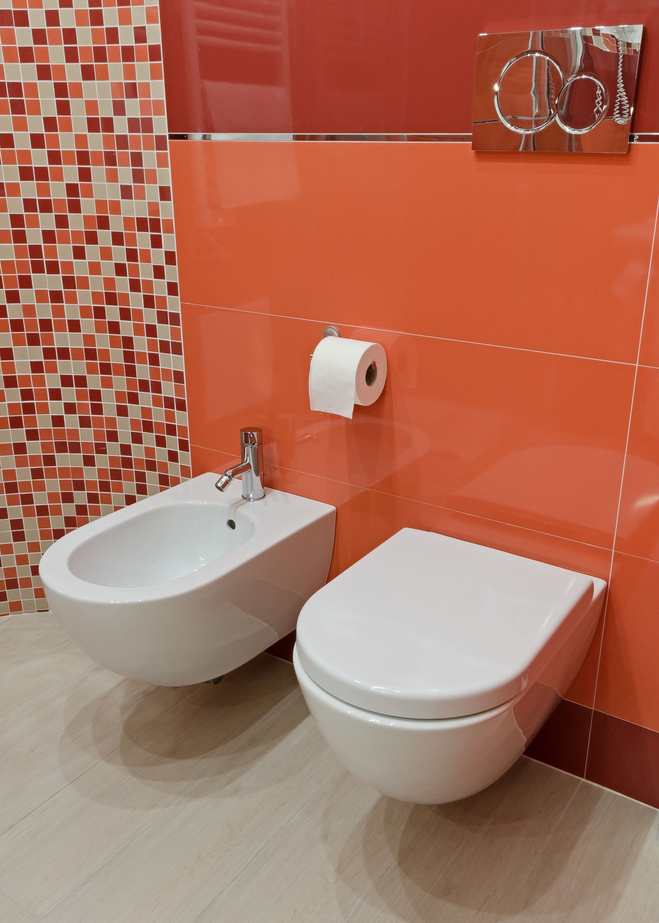Een badkamer met een bidet, toilet en een toiletpapierhouder aan de muur.
