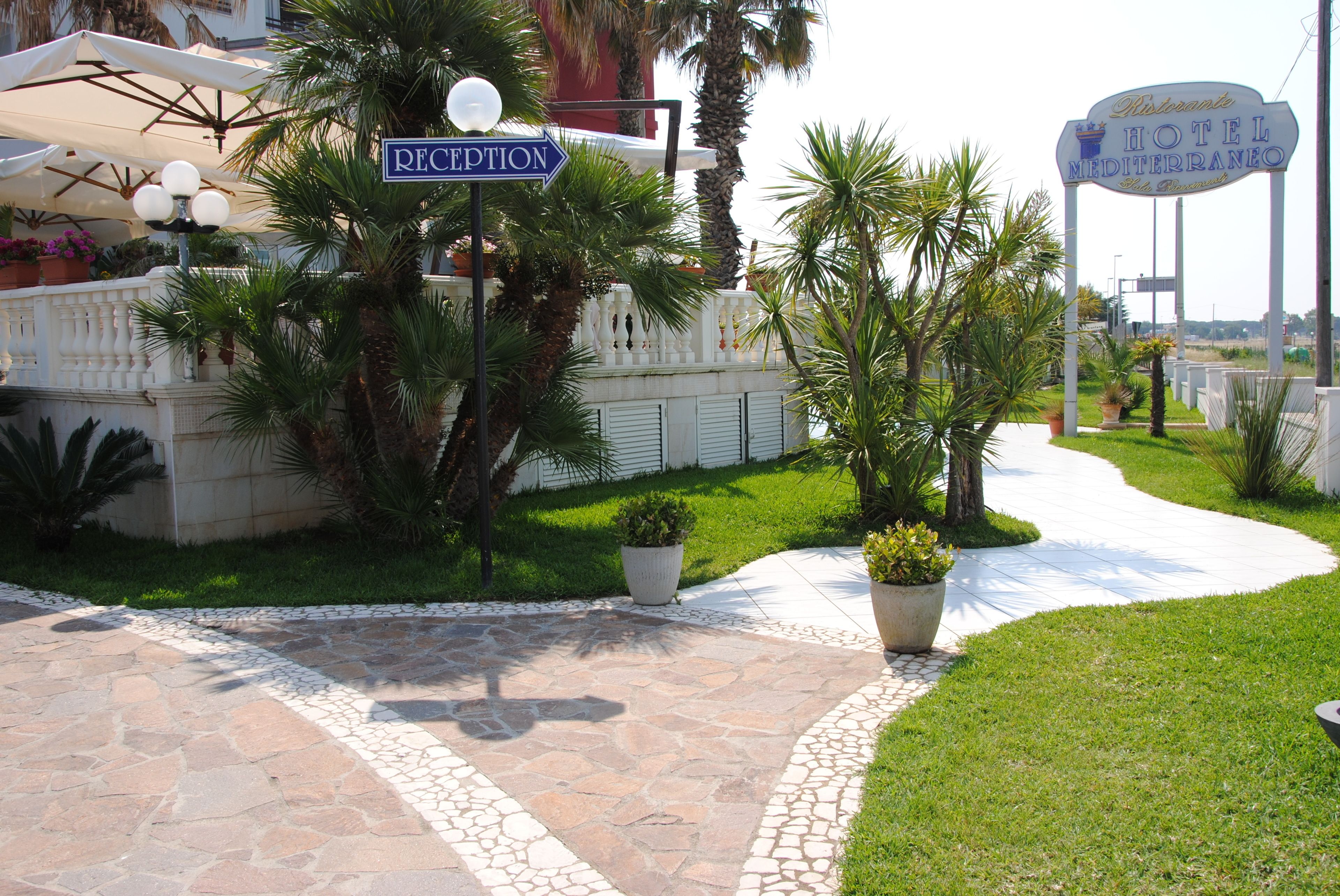 Ein Empfangsbereich mit einem gepflasterten Weg, Palmen und einem Schild für das Hotel Mediterraneo.