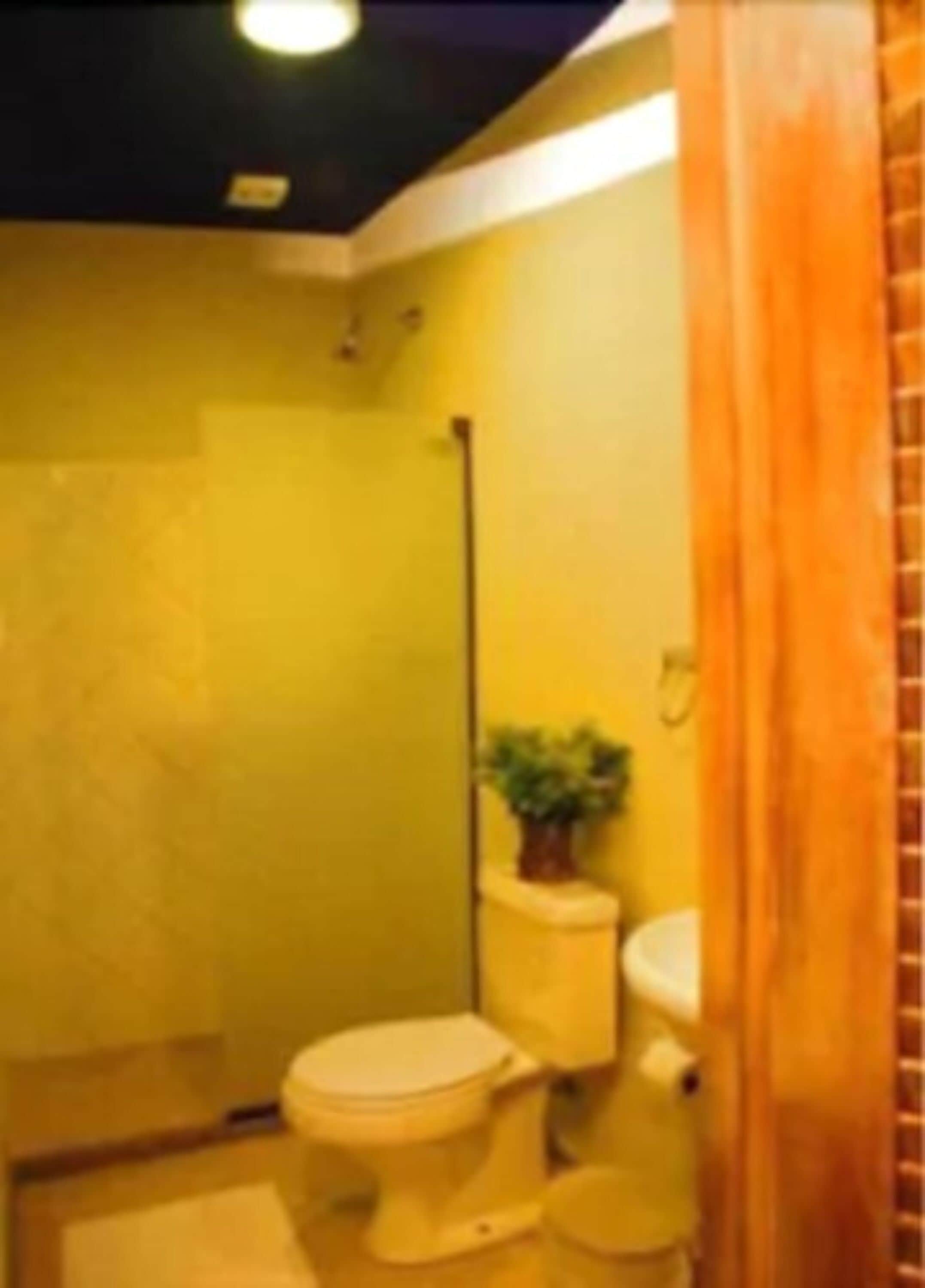 shower, rainfall showerhead, free toiletries, hair dryer