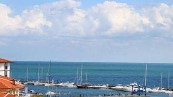 A marina with multiple sailboats docked, a clear sky, and a calm sea.