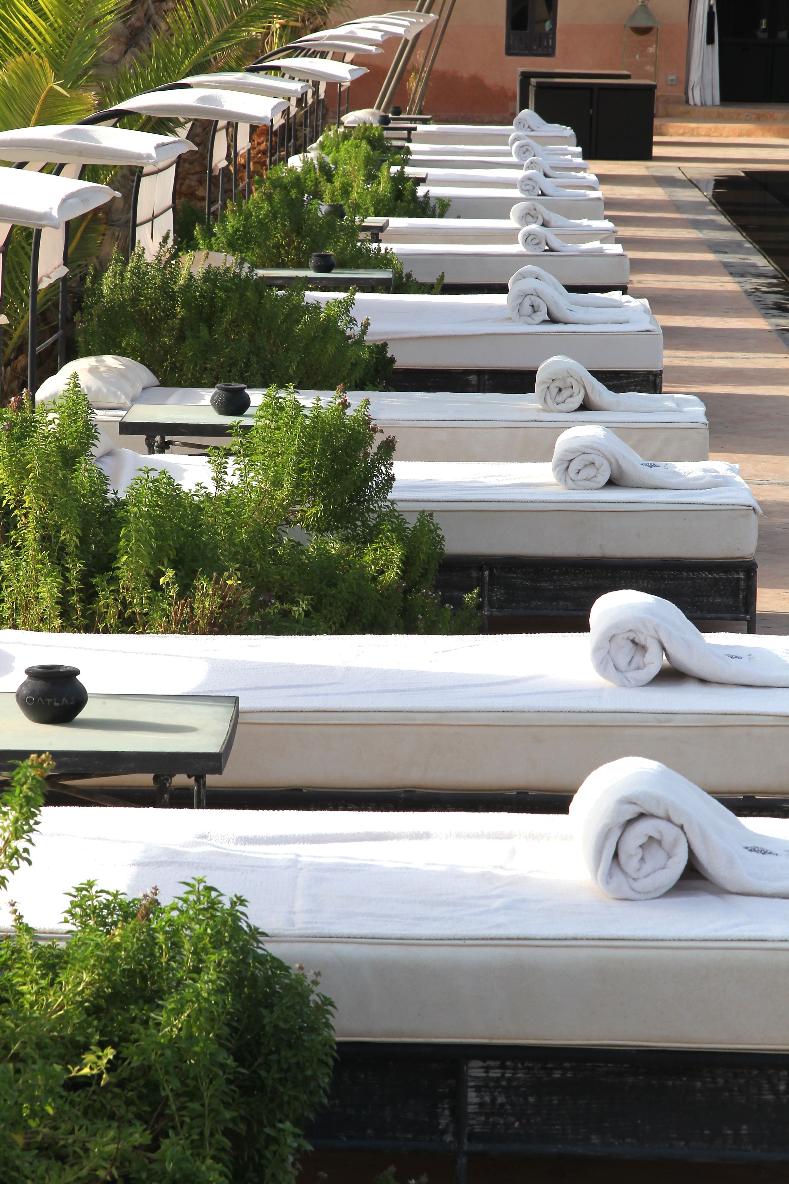 Outdoor pool, pool umbrellas, sun loungers