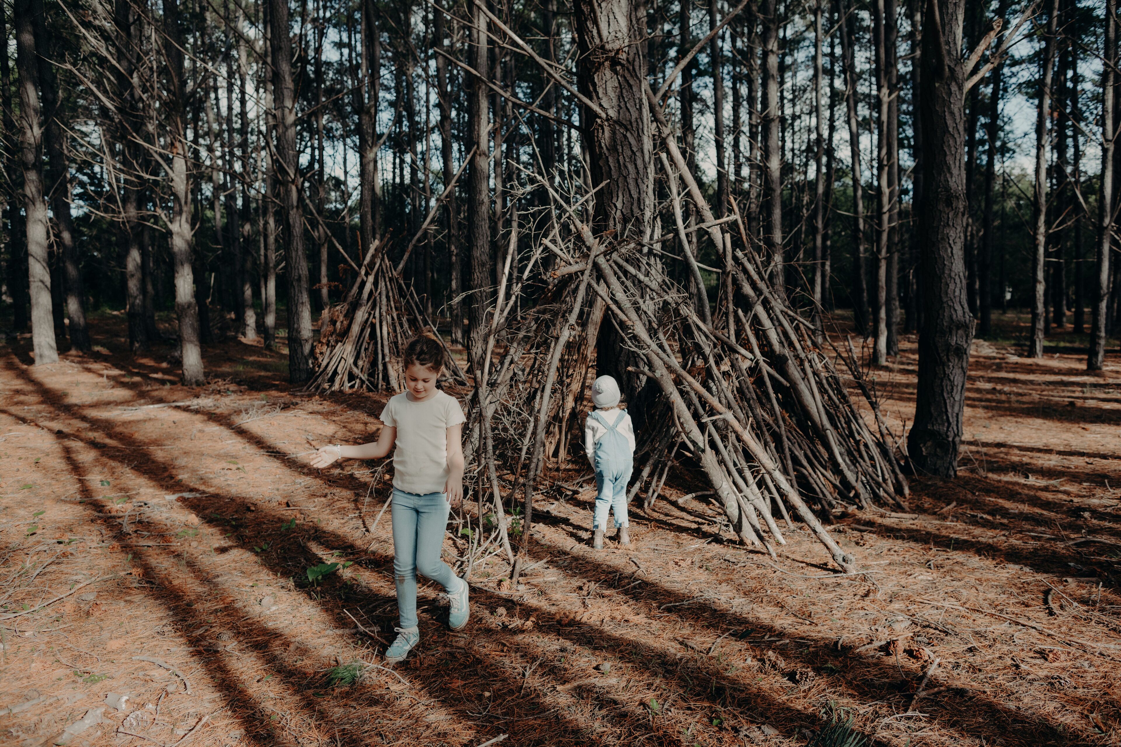 A forest with a small, makeshift shelter made of branches.