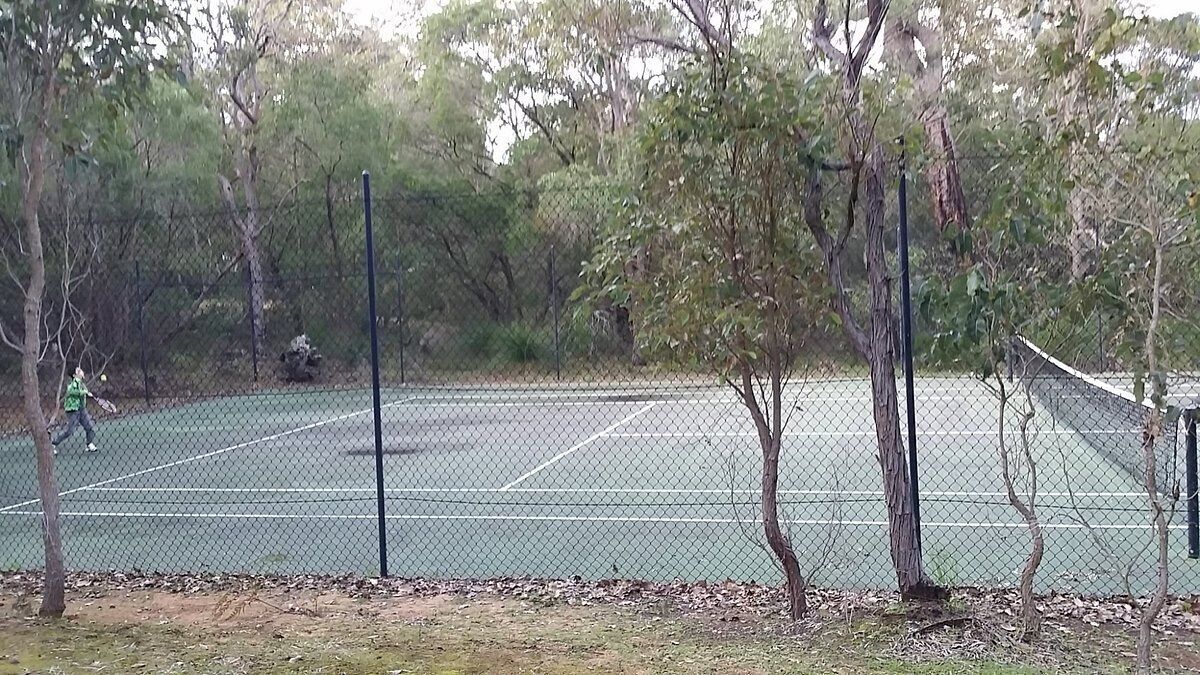 A tennis court surrounded by trees.