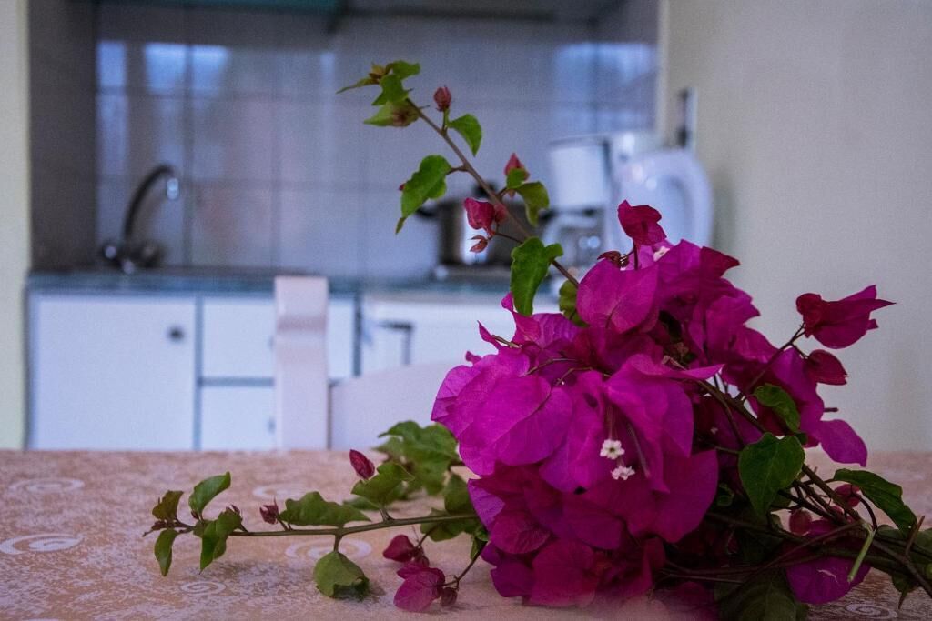 Un ramo de flores rosadas sobre una mesa en una cocina con armarios blancos y salpicadero de azulejos.
