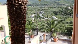 A balcony with a view of a green valley, palm trees, and a winding road. - Alkion (Apokoronas)