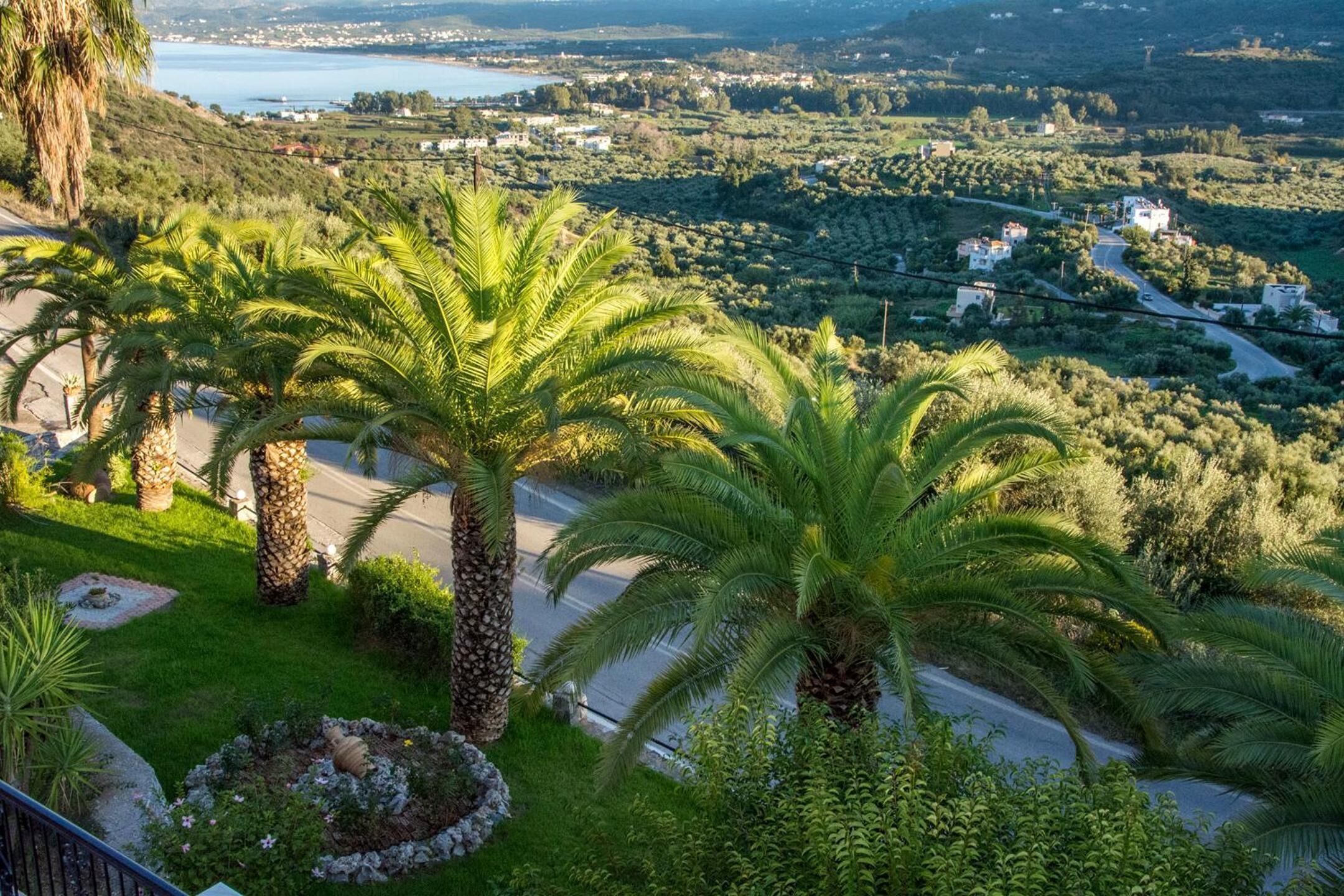 A lush garden with palm trees and a road leading to a coastal town.