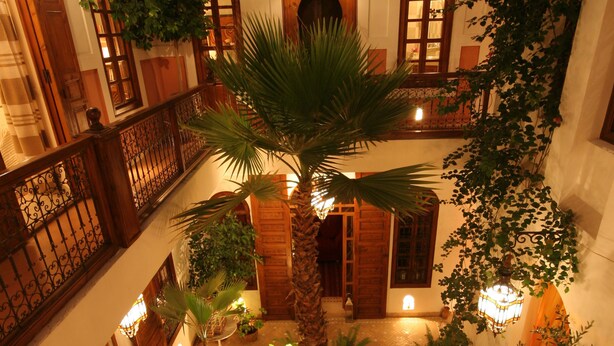 Un atrio de varios niveles con balcones de madera, una palmera en el centro y plantas colgantes.