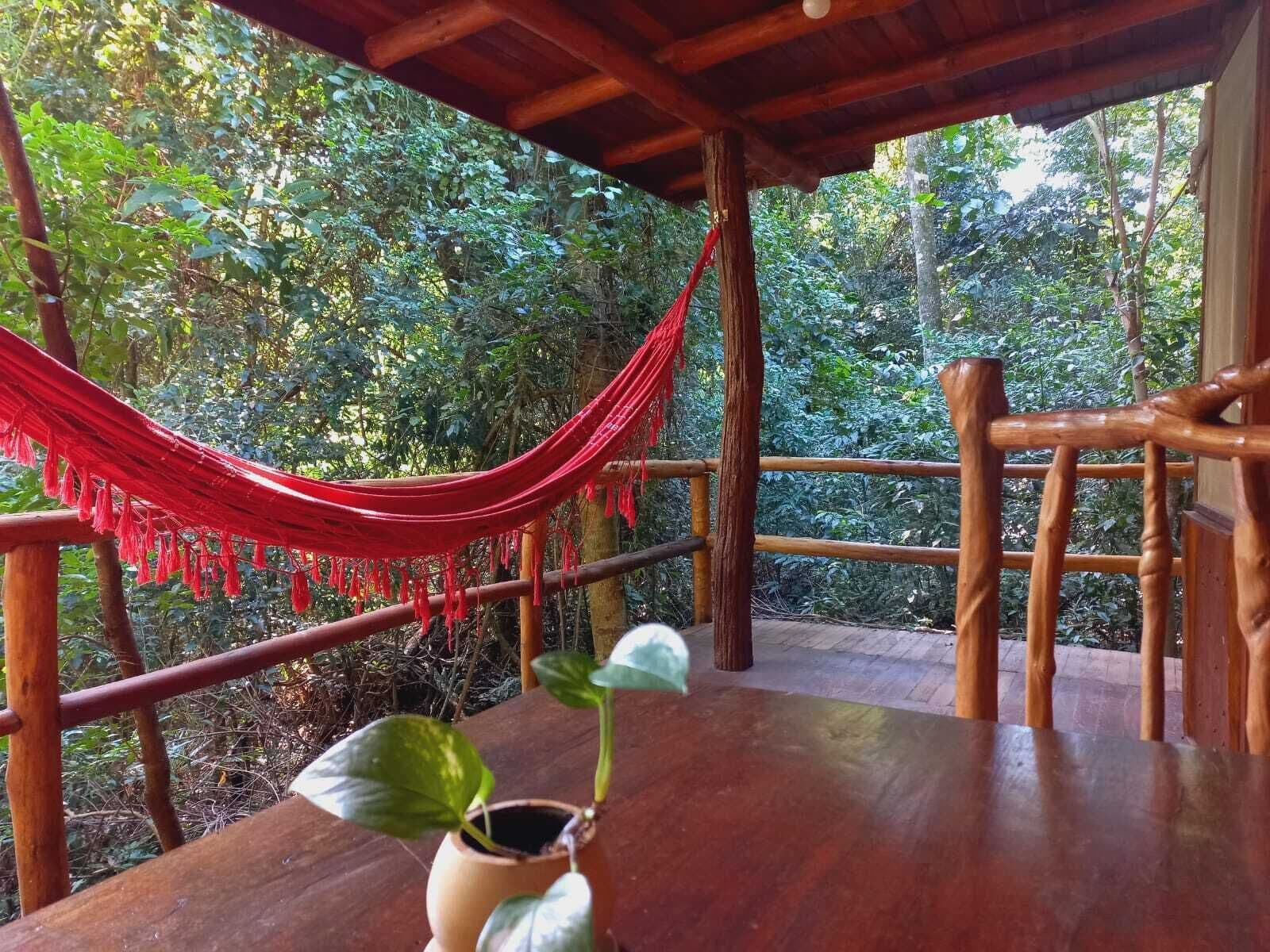 A wooden deck with a red hammock, a potted plant, and a view of dense forest.