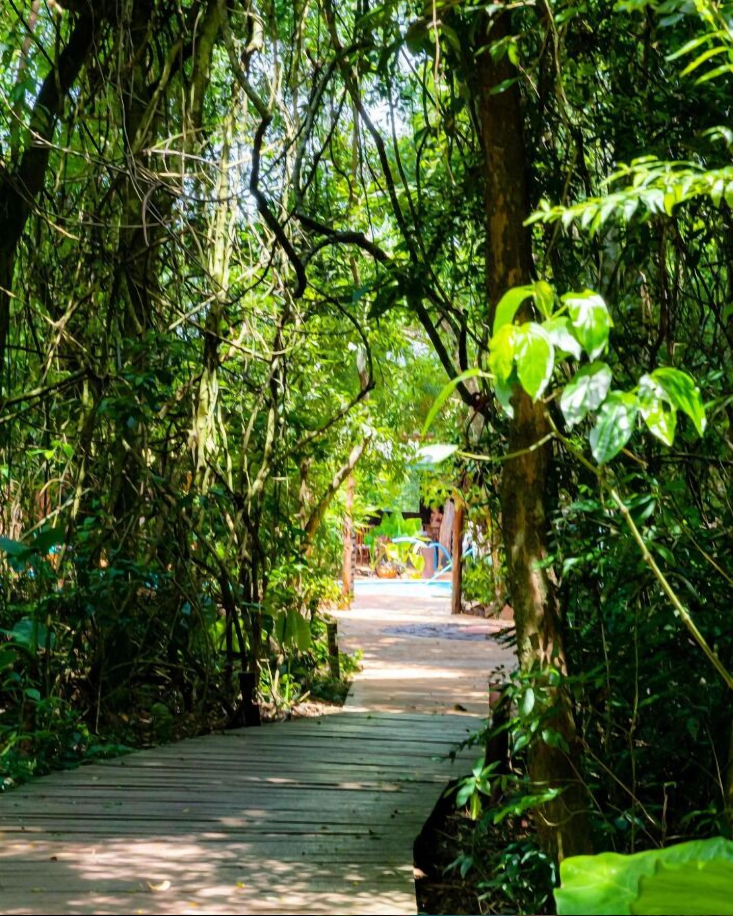 Foto - La Aldea De La Selva Lodge