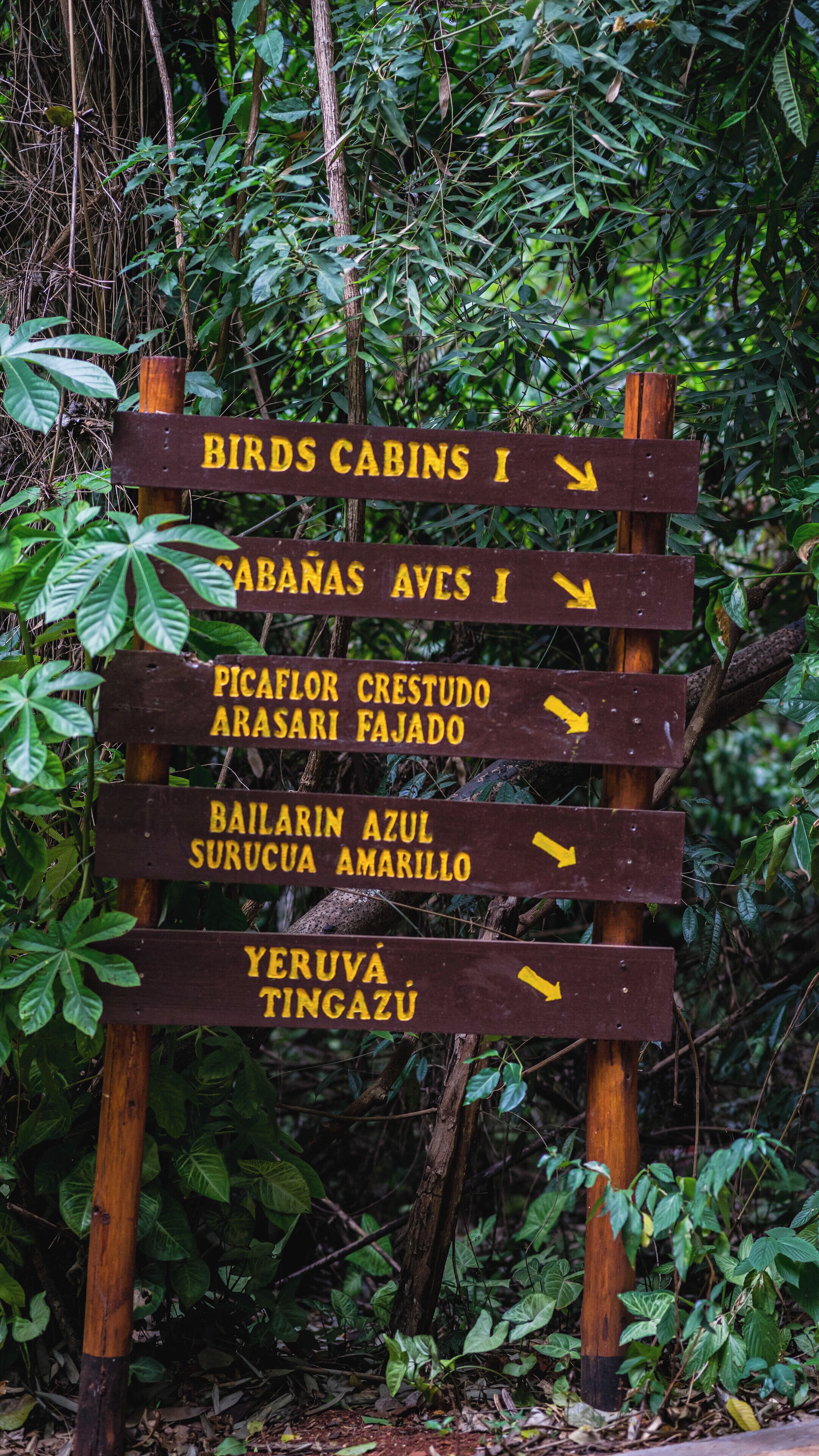 Foto - La Aldea De La Selva Lodge