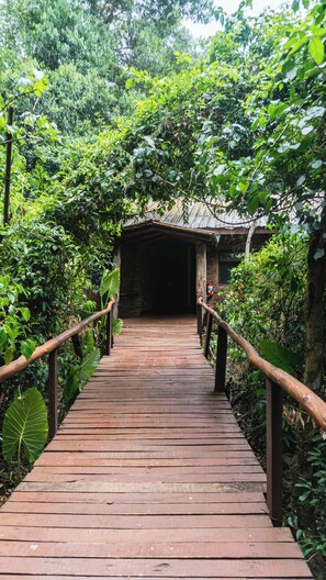 Un sentier en bois mène à un bâtiment rustique, lui-même entouré d’une végétation luxuriante.
