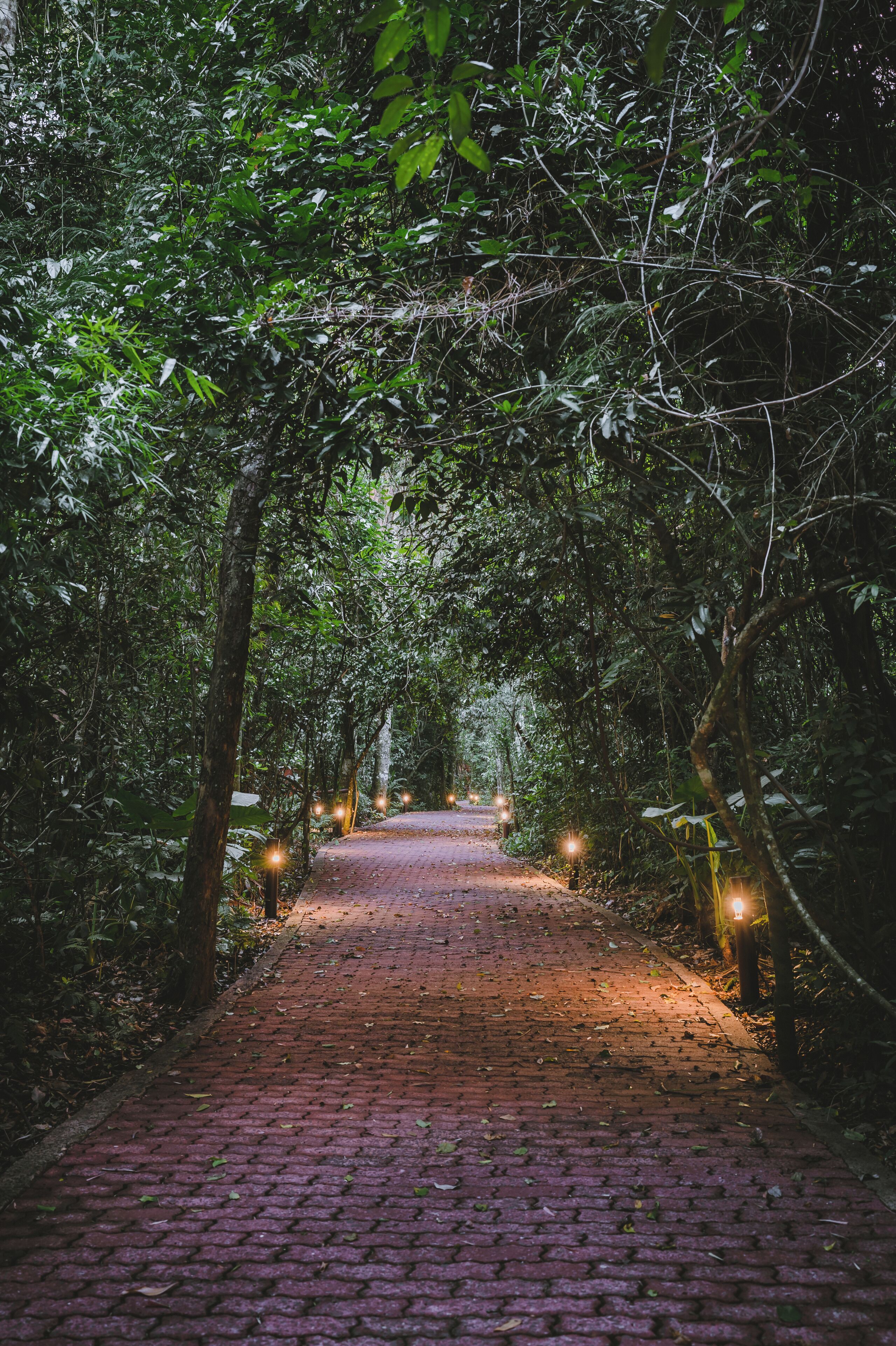 Foto - La Aldea De La Selva Lodge