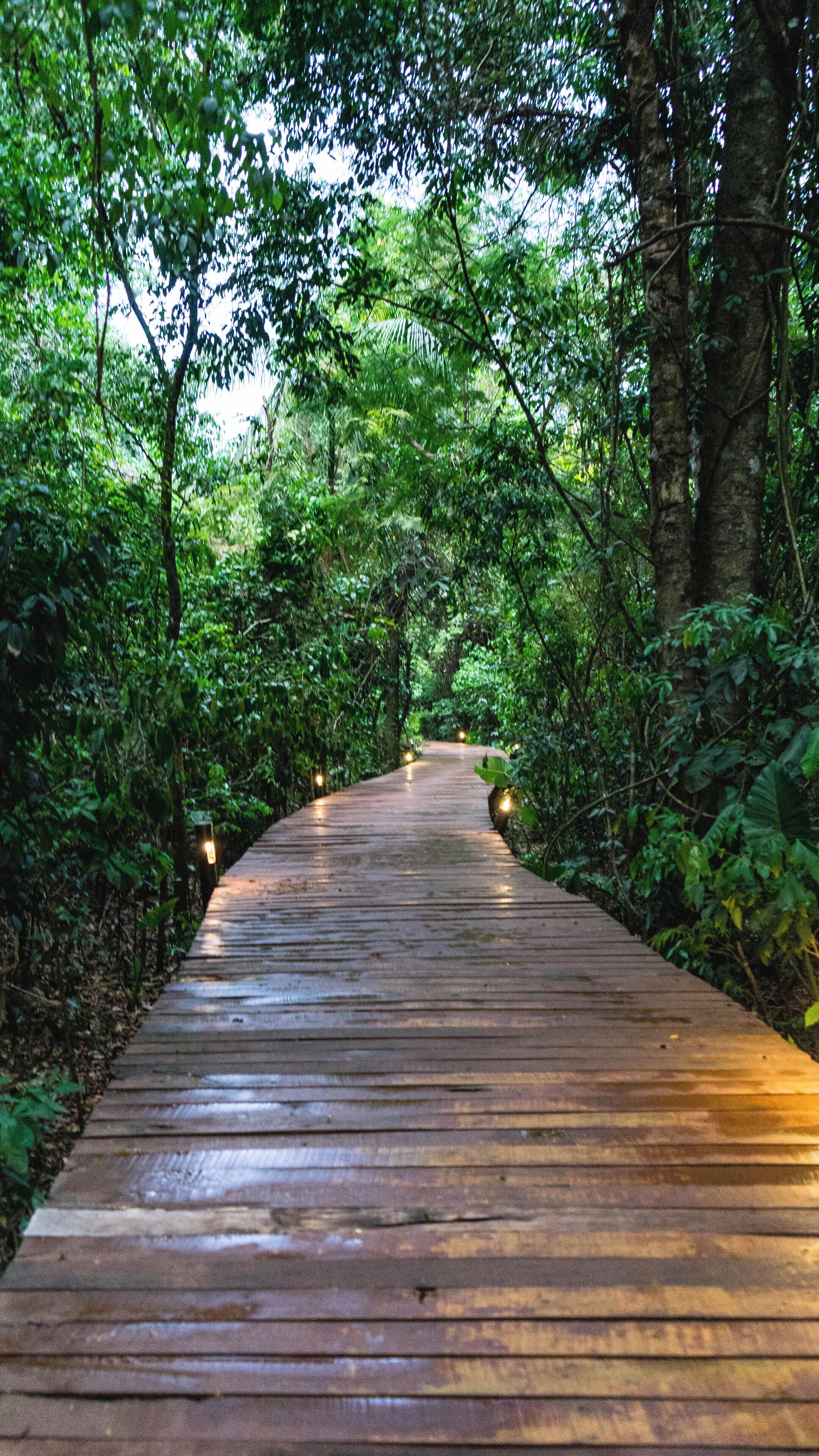 Foto - La Aldea De La Selva Lodge