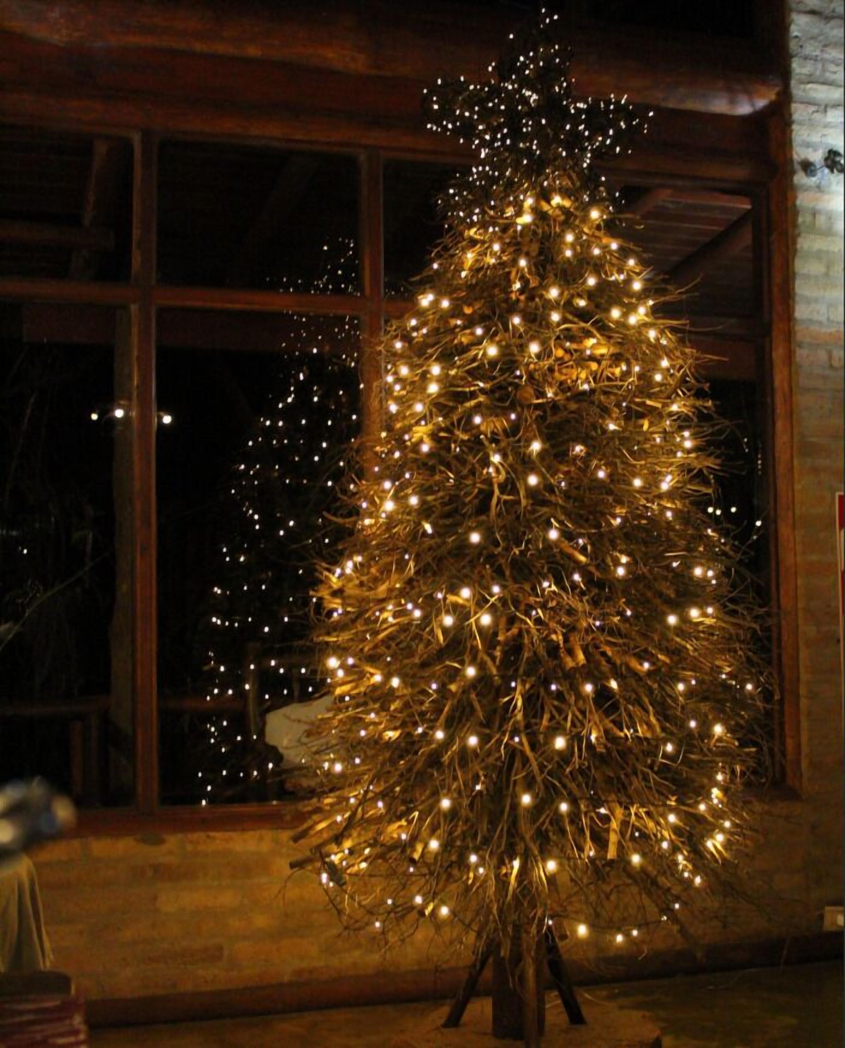 Photo - La Aldea de la Selva Lodge