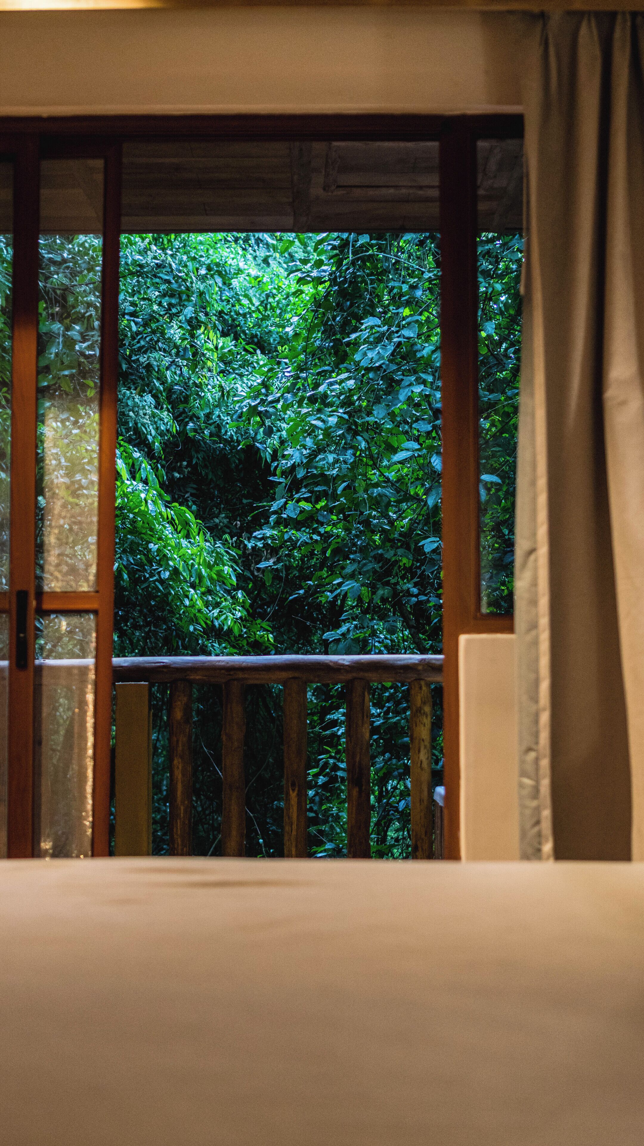 Foto - La Aldea De La Selva Lodge