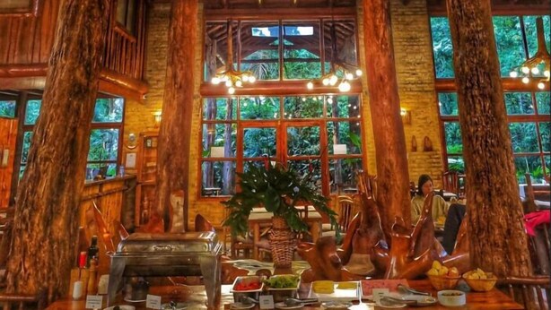 A rustic interior with a high ceiling, wooden beams, and large windows offering a view of the outdoors. - La Aldea de la Selva Lodge (Puerto Iguazú)