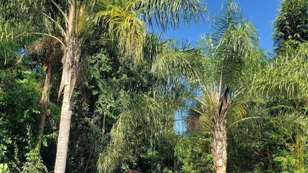 Un área junto a la piscina con un pabellón de madera, un flotador salvavidas y una tumbona.