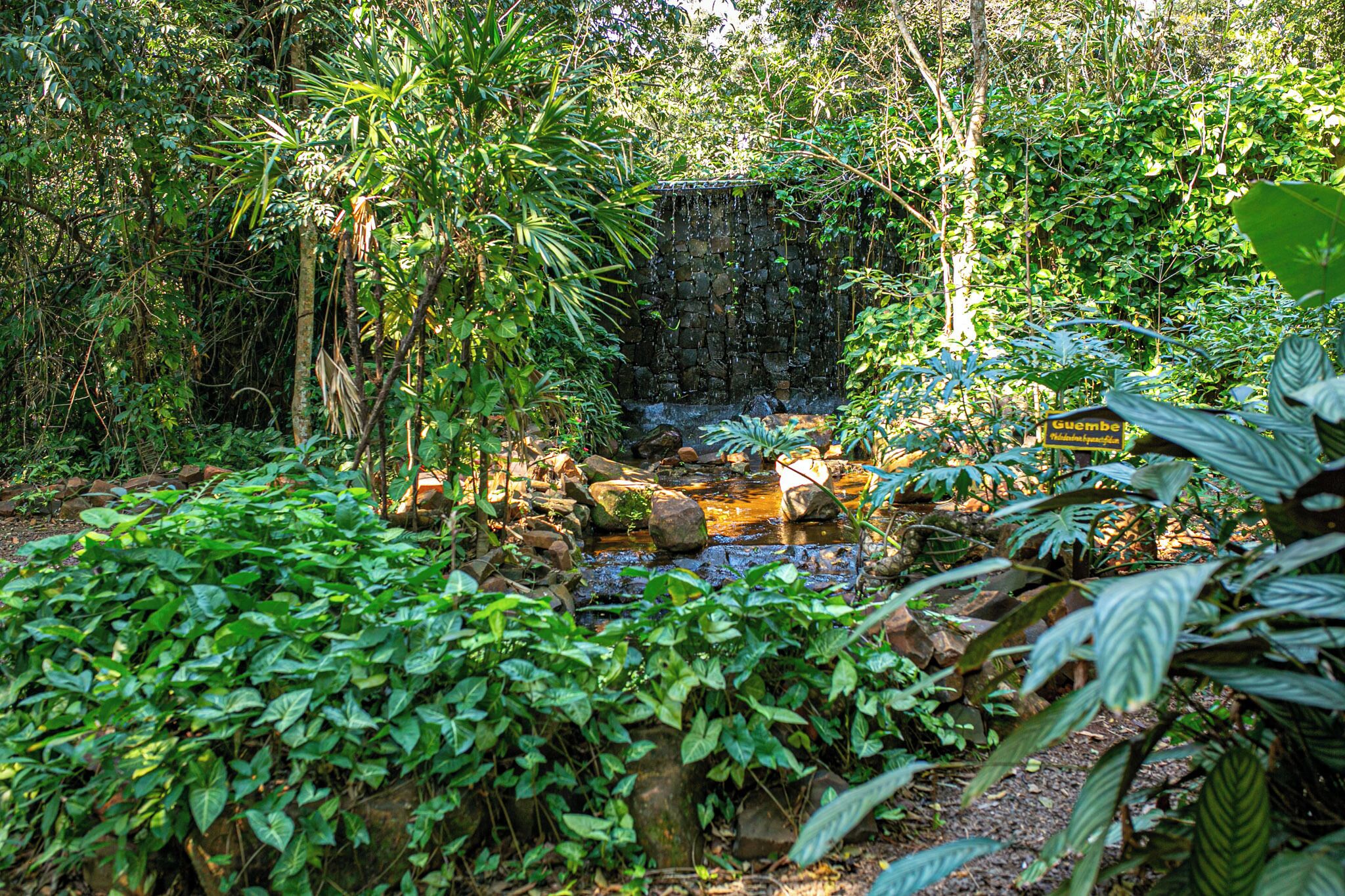 Foto - La Aldea De La Selva Lodge