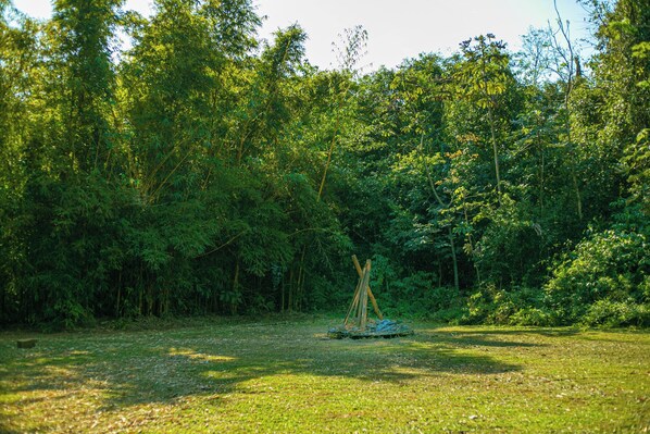 A natural outdoor setting with dense green foliage and a small wooden structure in the center.