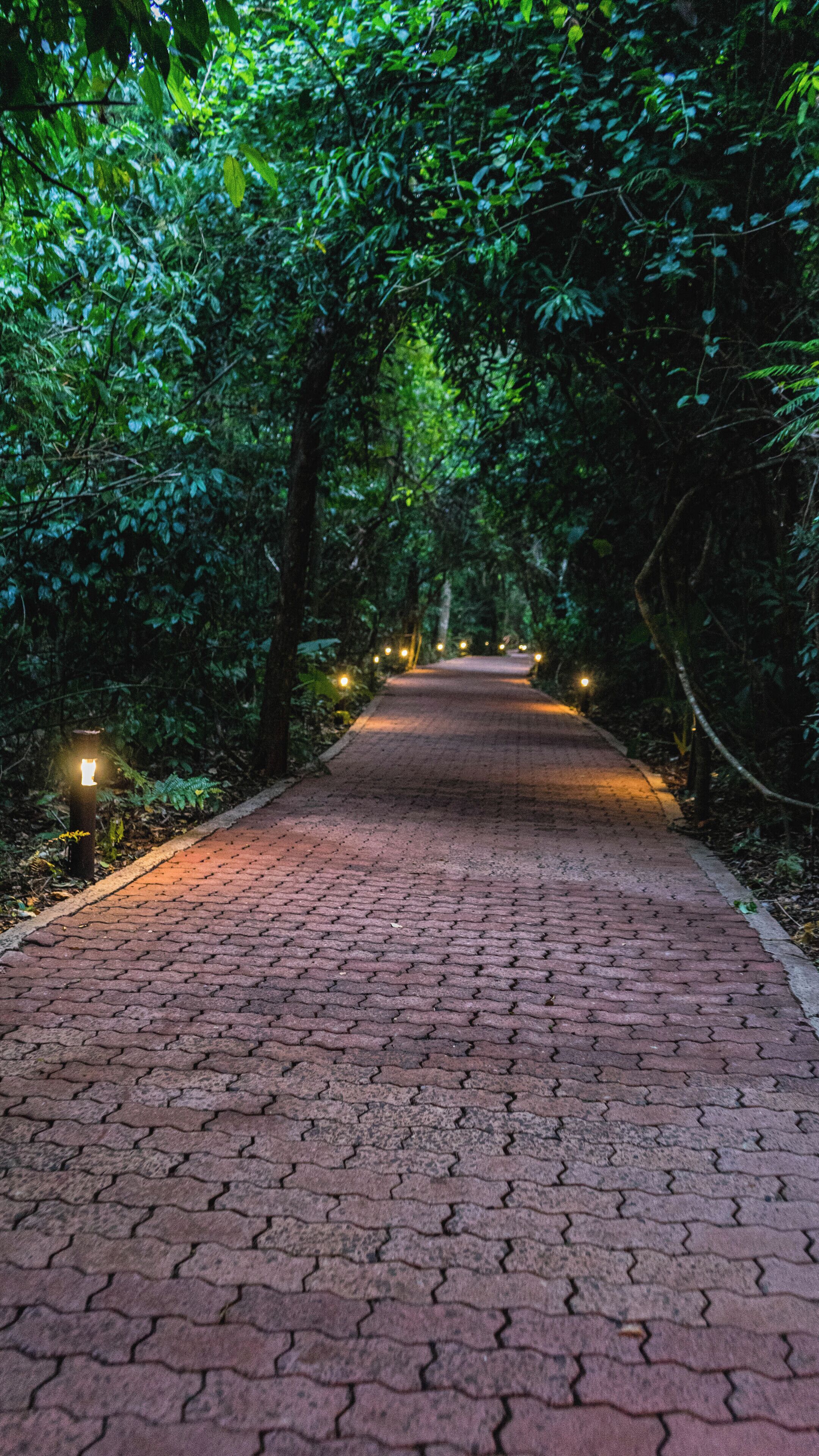 Photo - La Aldea de la Selva Lodge