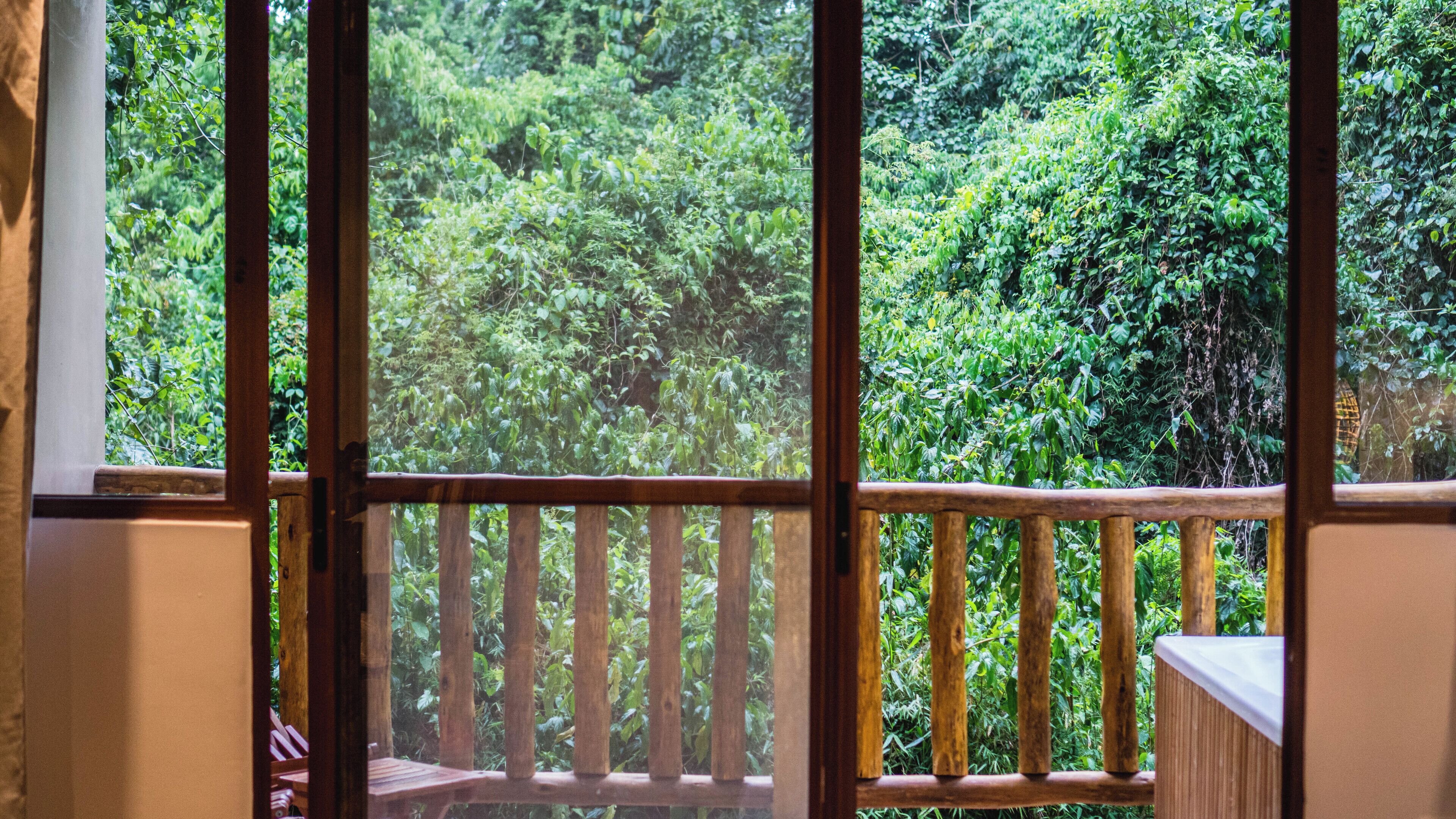 Foto - La Aldea De La Selva Lodge