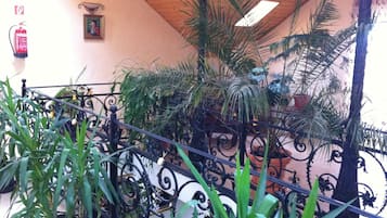 A staircase with ornate black metal railings and potted plants.