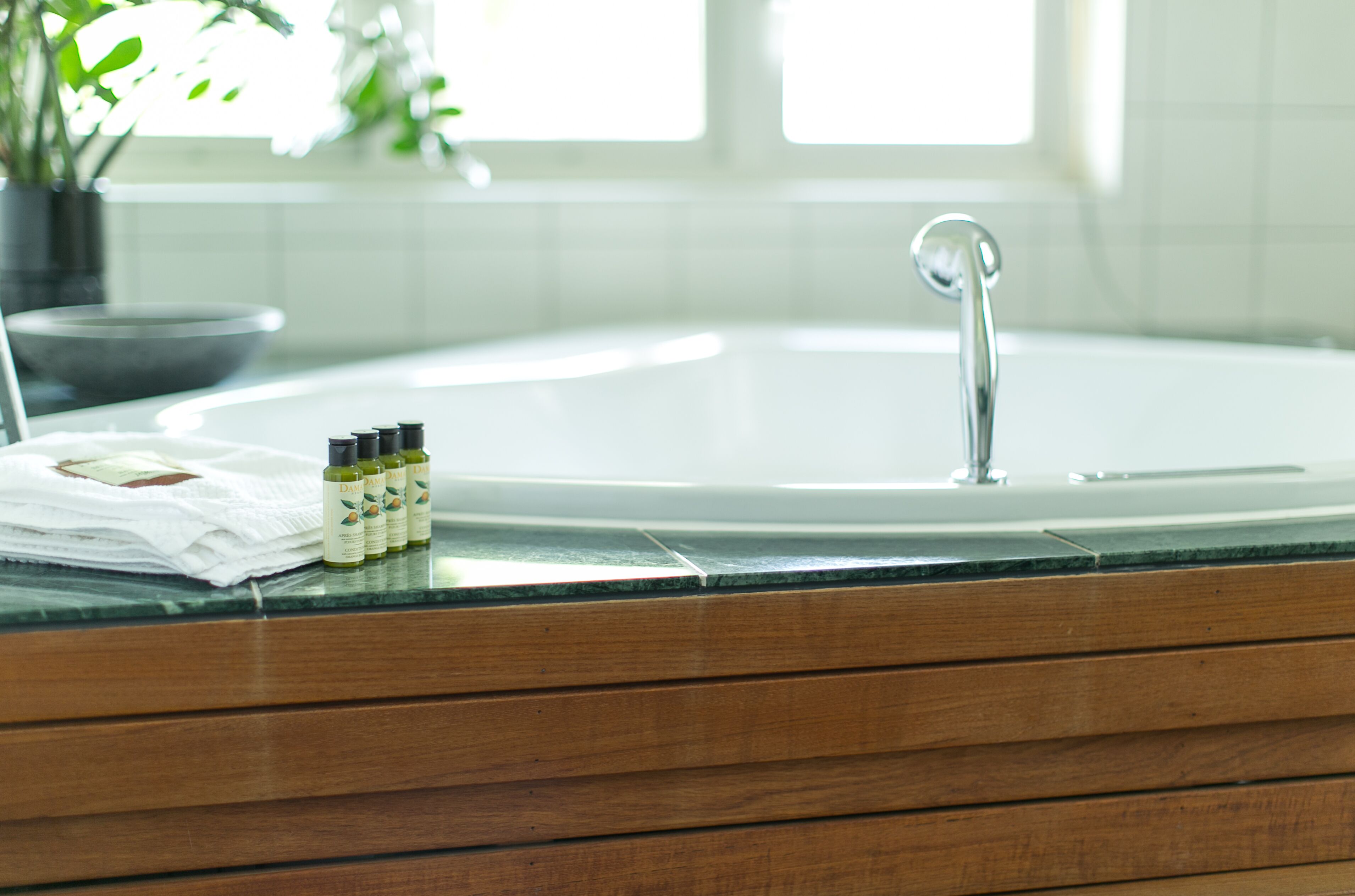 Un baño con un lavabo grande, un mueble de madera y una planta en maceta.