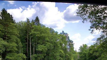 Couples treatment rooms, sauna, hot tub, hot springs, body treatments