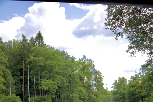 ์ปคํ ํธ๋ฆฌํธ๋จผํธ๋ฃธ, ์ฌ์ฐ๋, ์จ์ ์์กฐ, ์จ์ฒ/๊ด์ฒ์ ์จ์ฒ, ์ ์ ํธ๋ฆฌํธ๋จผํธ, ์ค์จ๋ด์ ๋ง์ฌ์ง