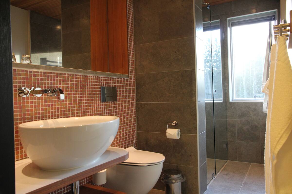 panoramic double room, 1 queen bed, patio, river view | bathroom amenities | hair dryer, towels