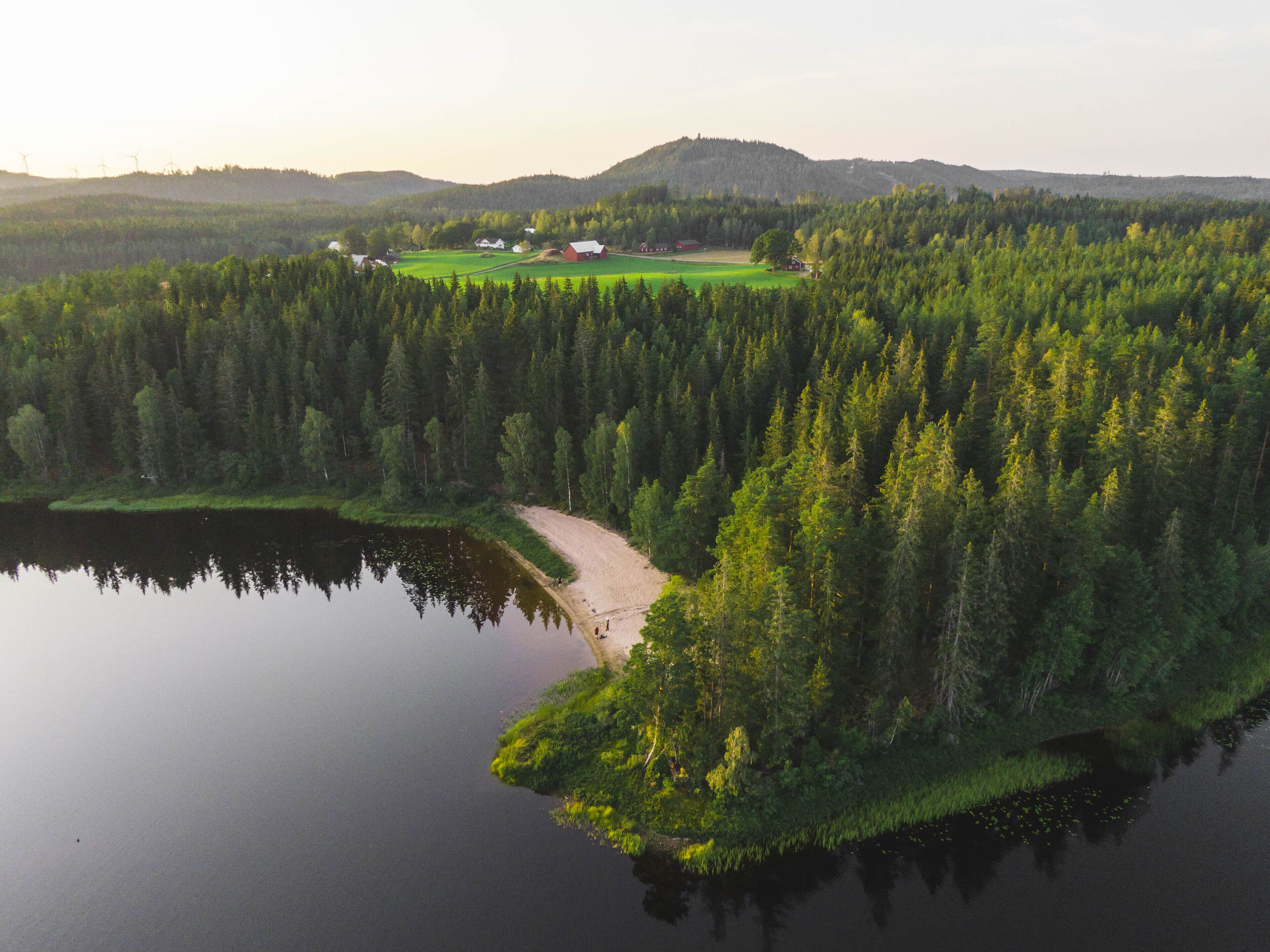 A lakeside view with a forested area, a dirt path, and a few buildings in the distance.