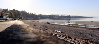 Riverside Resort & RV Park