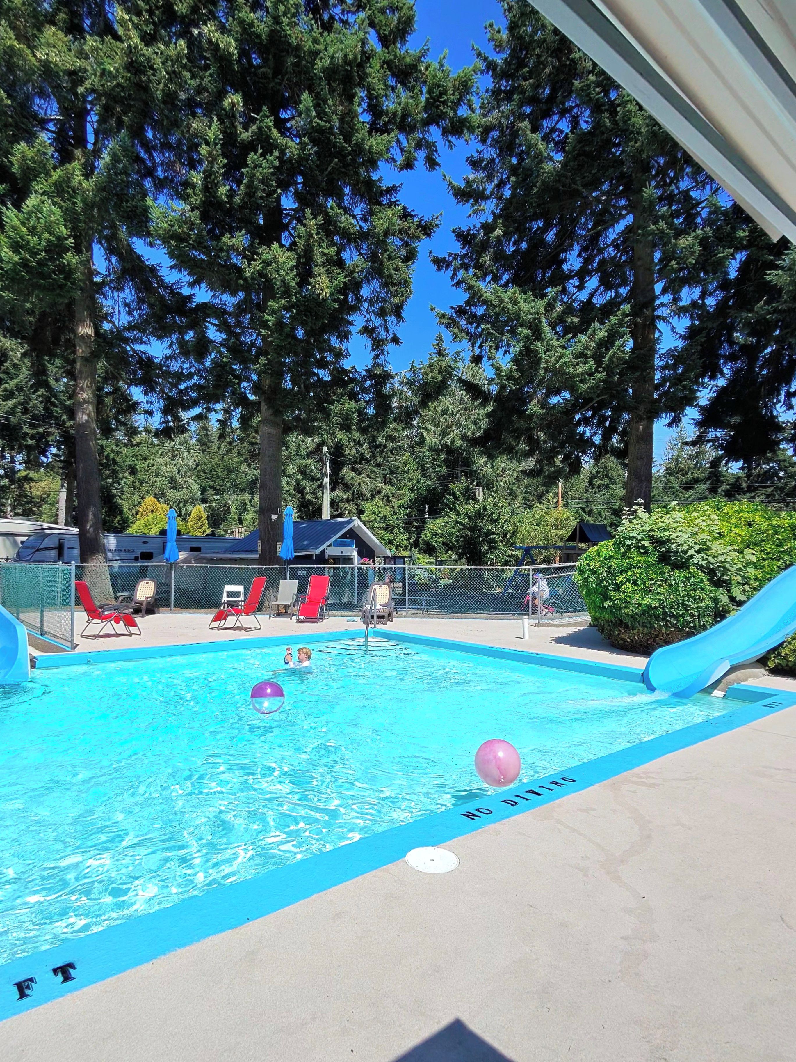 A swimming pool with a blue border, surrounded by trees and a slide.