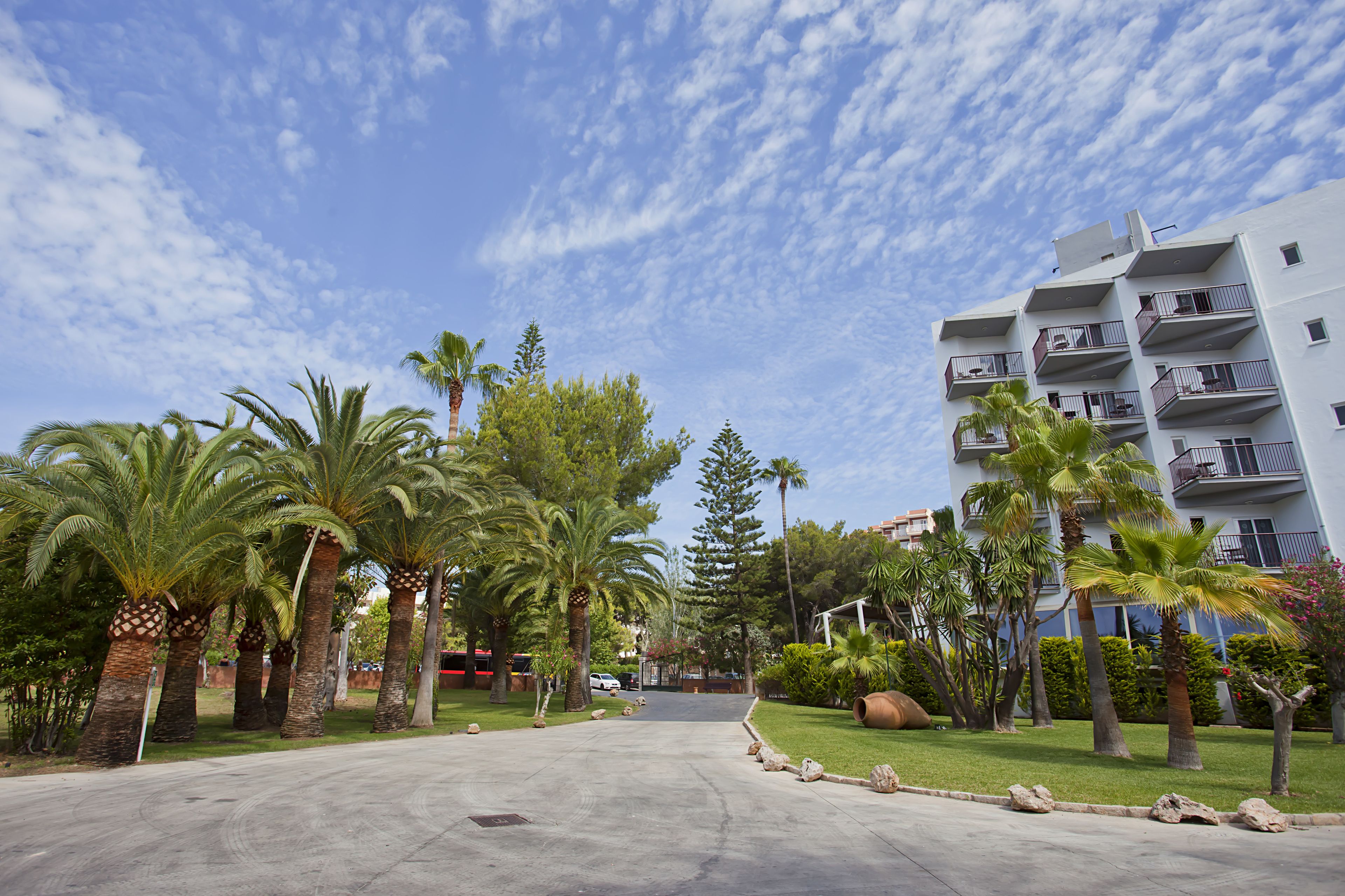 Foto - FERGUS Bermudas