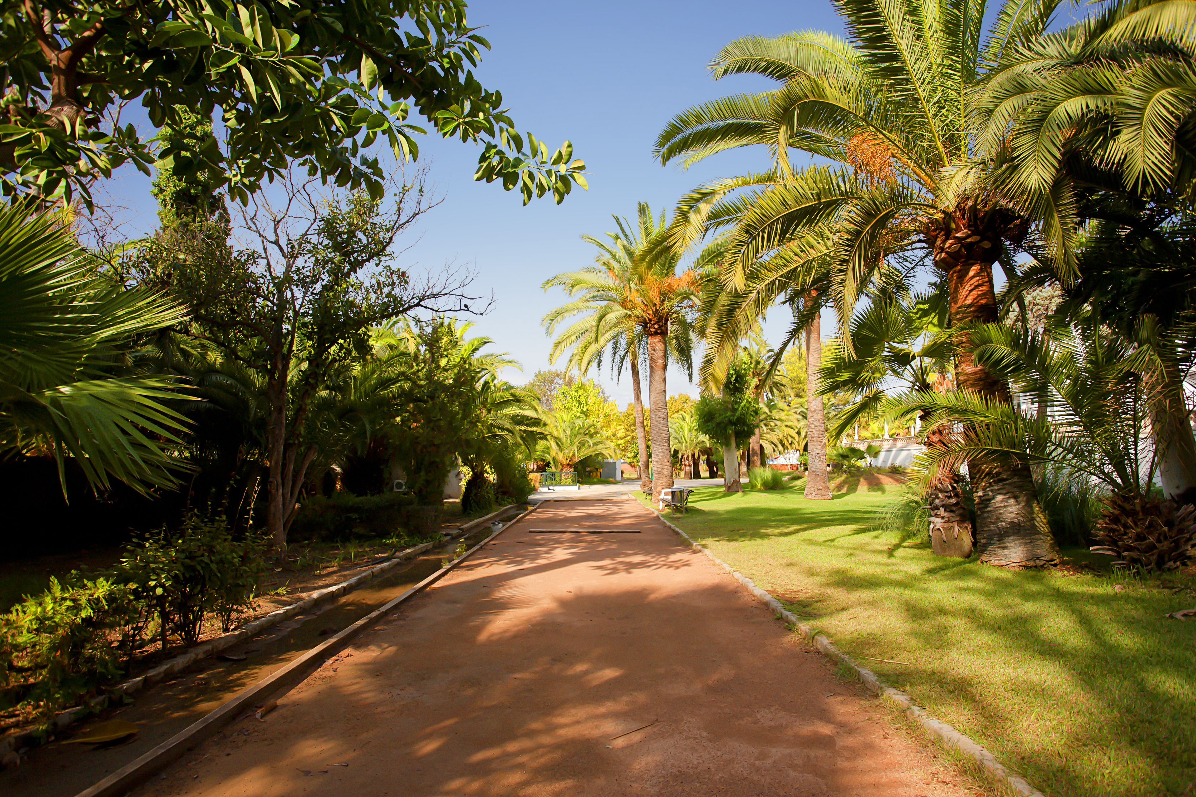 Foto - FERGUS Bermudas