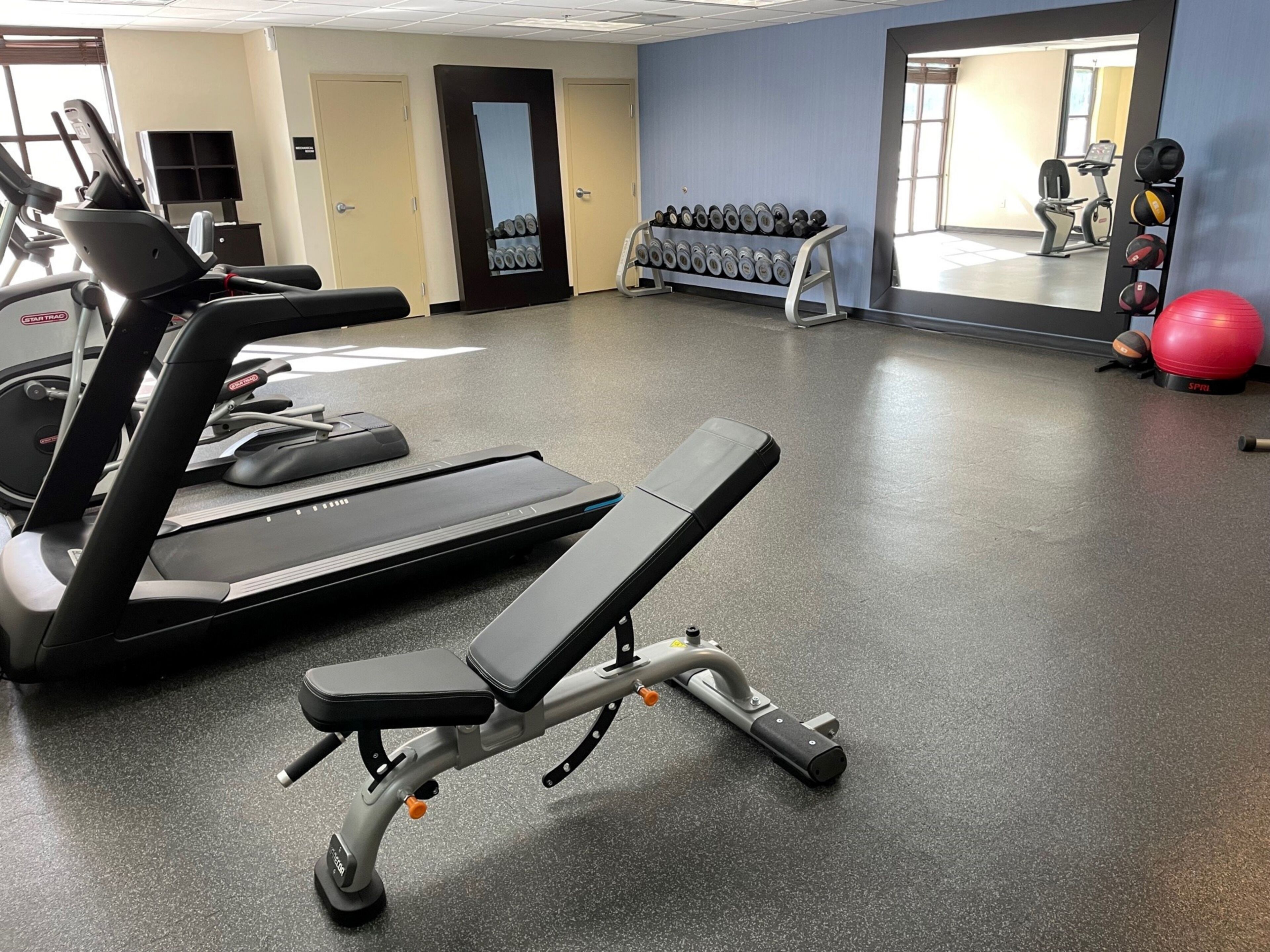 A gym with treadmills, a bench, and exercise balls.