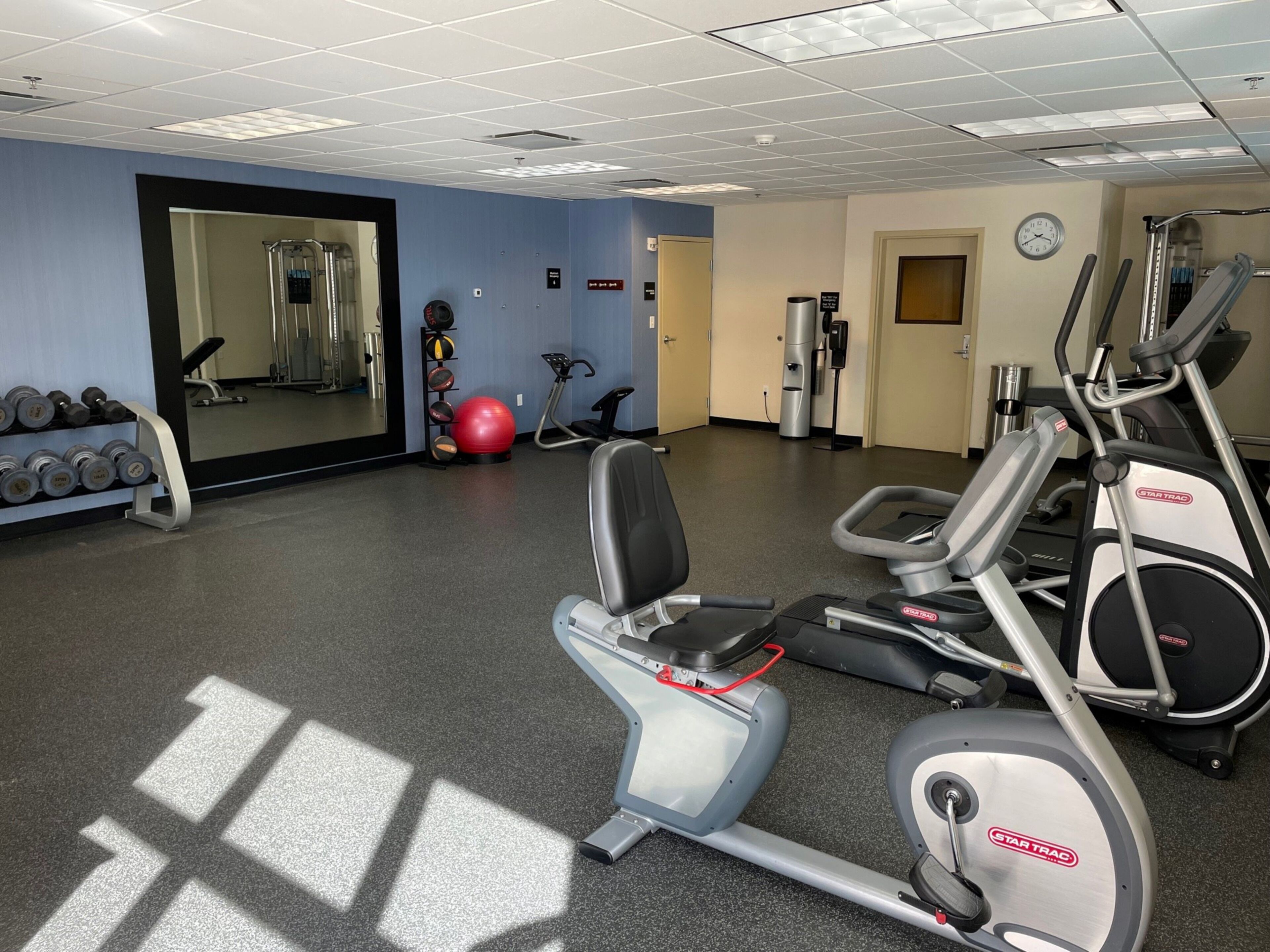 Ett gym med löpband, crosstrainers, en motionscykel, en röd träningsboll och hantlar.