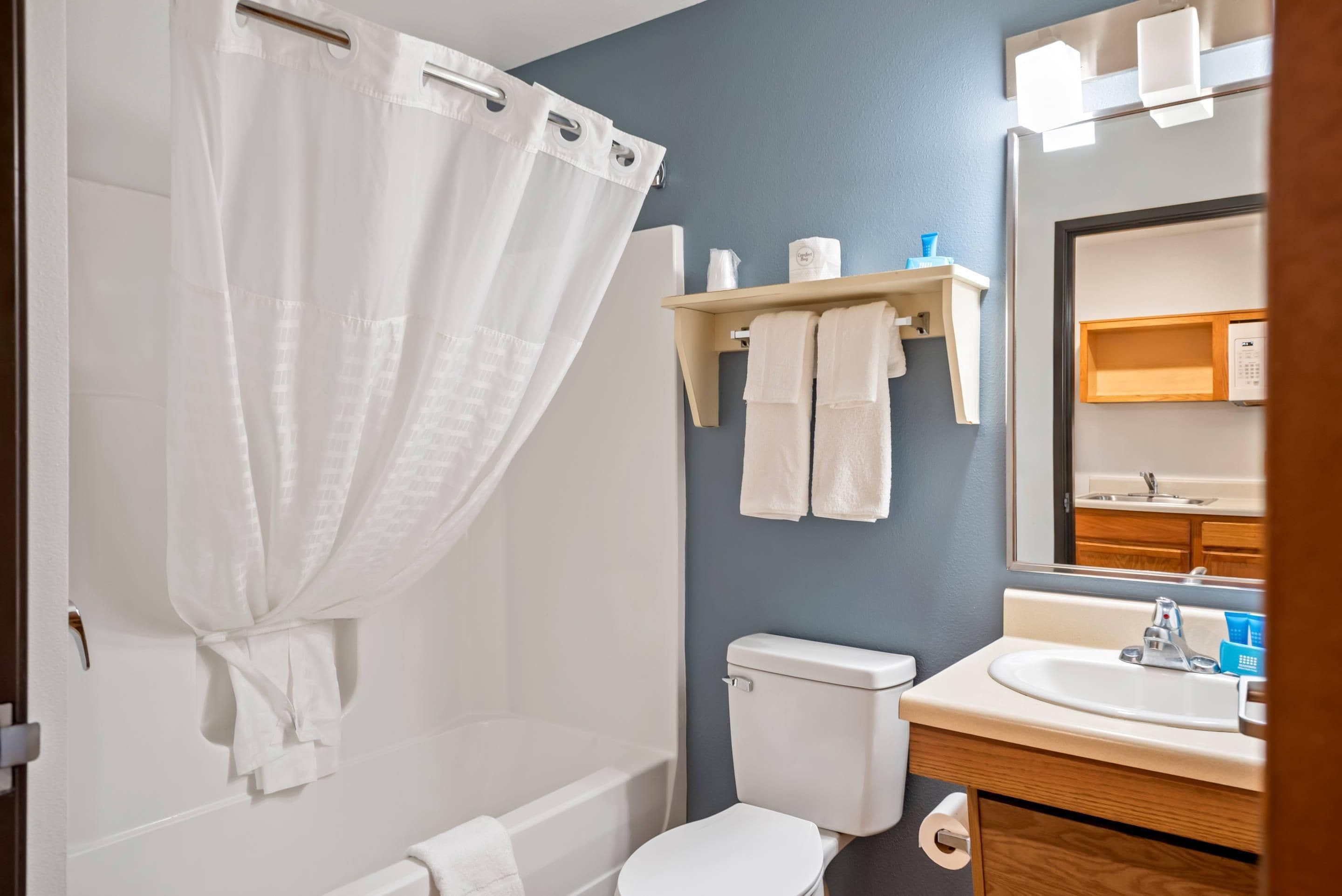 Une salle de bain avec un rideau de douche, des toilettes, un lavabo et un miroir.