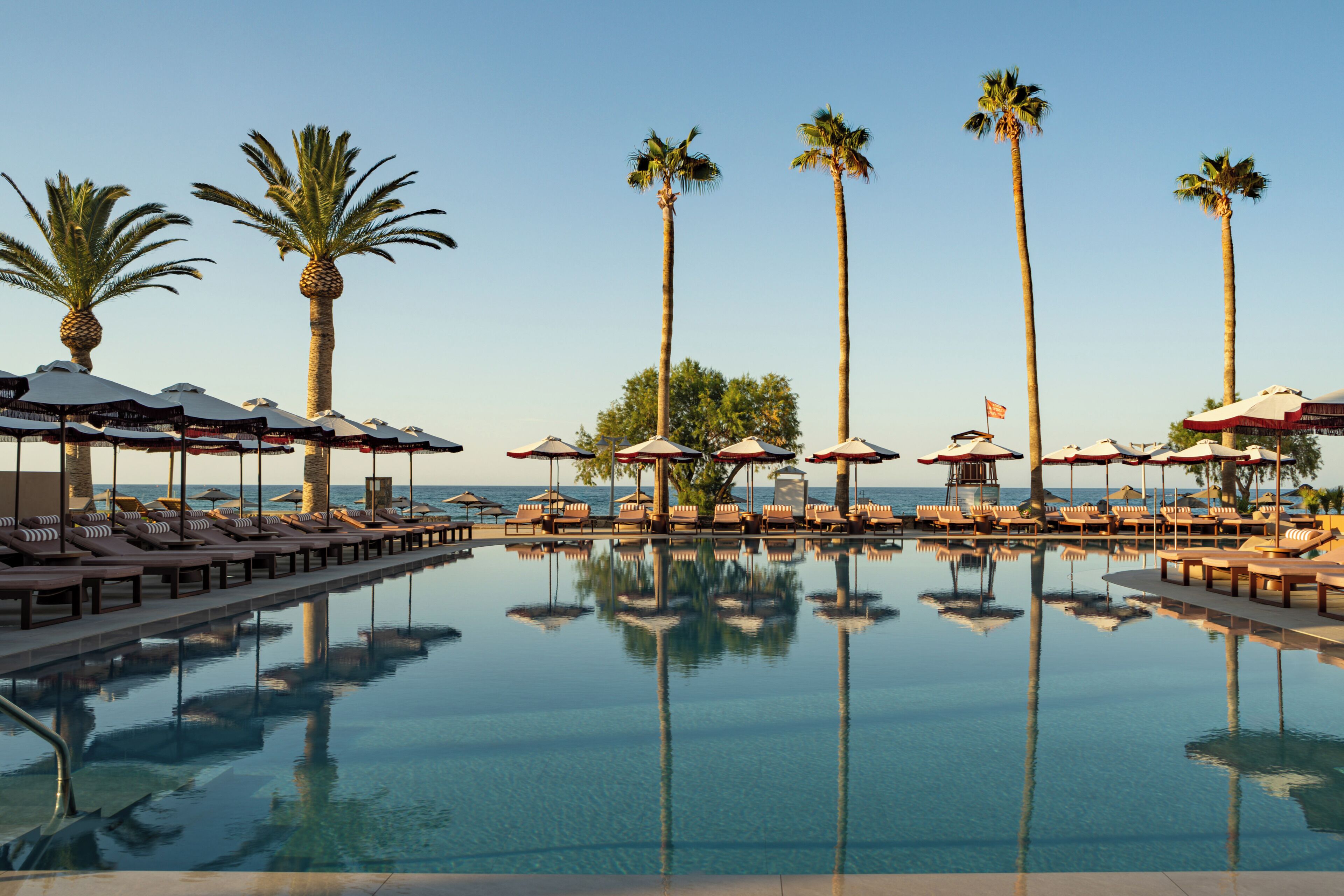 A pool with lounge chairs and umbrellas, palm trees, and a clear sky.