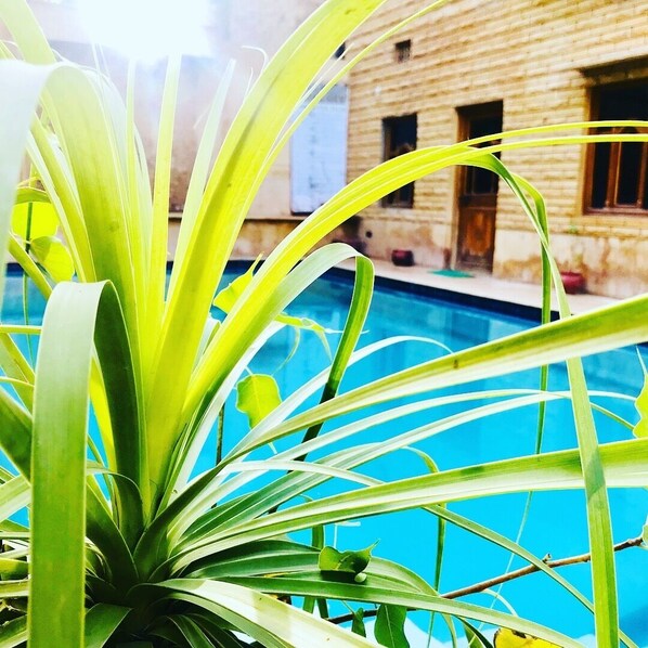 TV - Hotel Golden City (Jaisalmer)