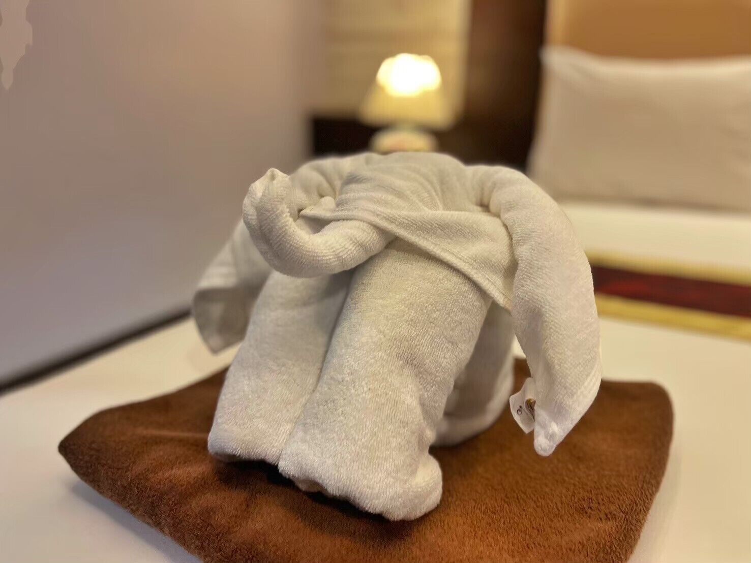 Photo - Andaman Lanta Resort - SHA Extra Plus