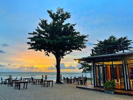 Un restaurante frente al mar con terraza y un gran árbol en el centro.