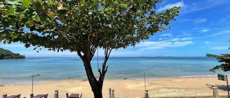 A beachside seating area with tables and chairs under a tree, overlooking a calm sea and sandy beach.