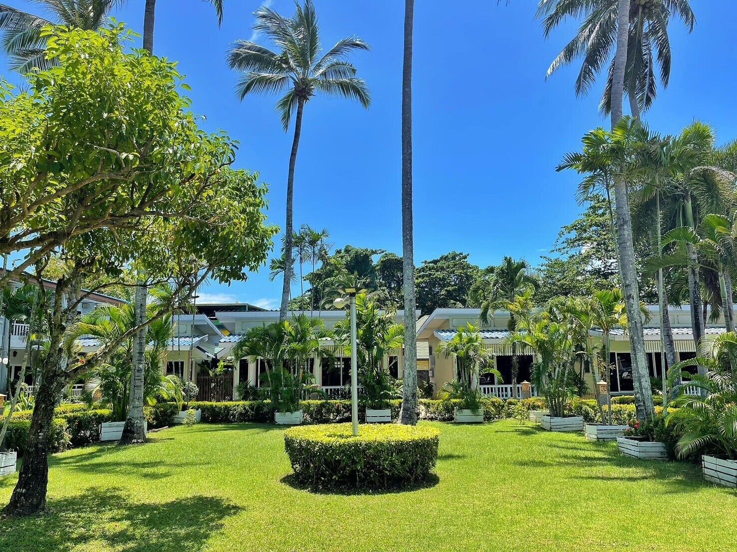 A hotel courtyard with palm trees, manicured lawns, and buildings with a tropical architectural style.